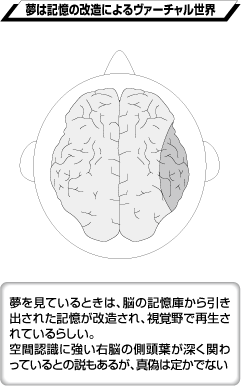 目が覚めたらなぜ「夢」は忘れてしまうのか？