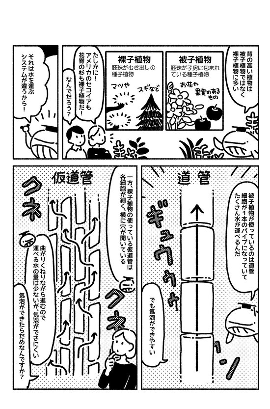 マンガでわかる「植物」は画期的な仕組みで、もっとも背が高い生物になった