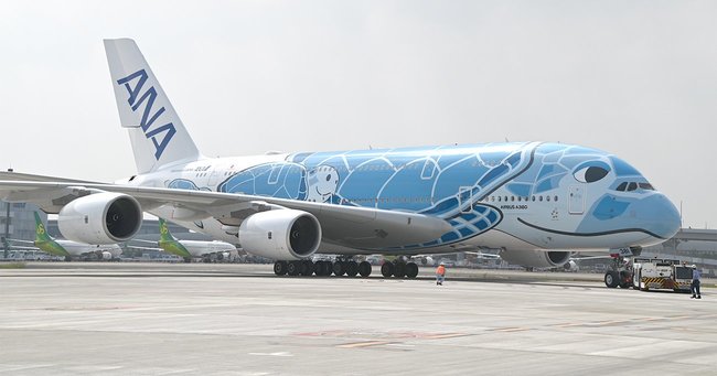 2020年8月、ANAのエアバスA380型機を使用した遊覧フライトが成田空港発着で実施された　