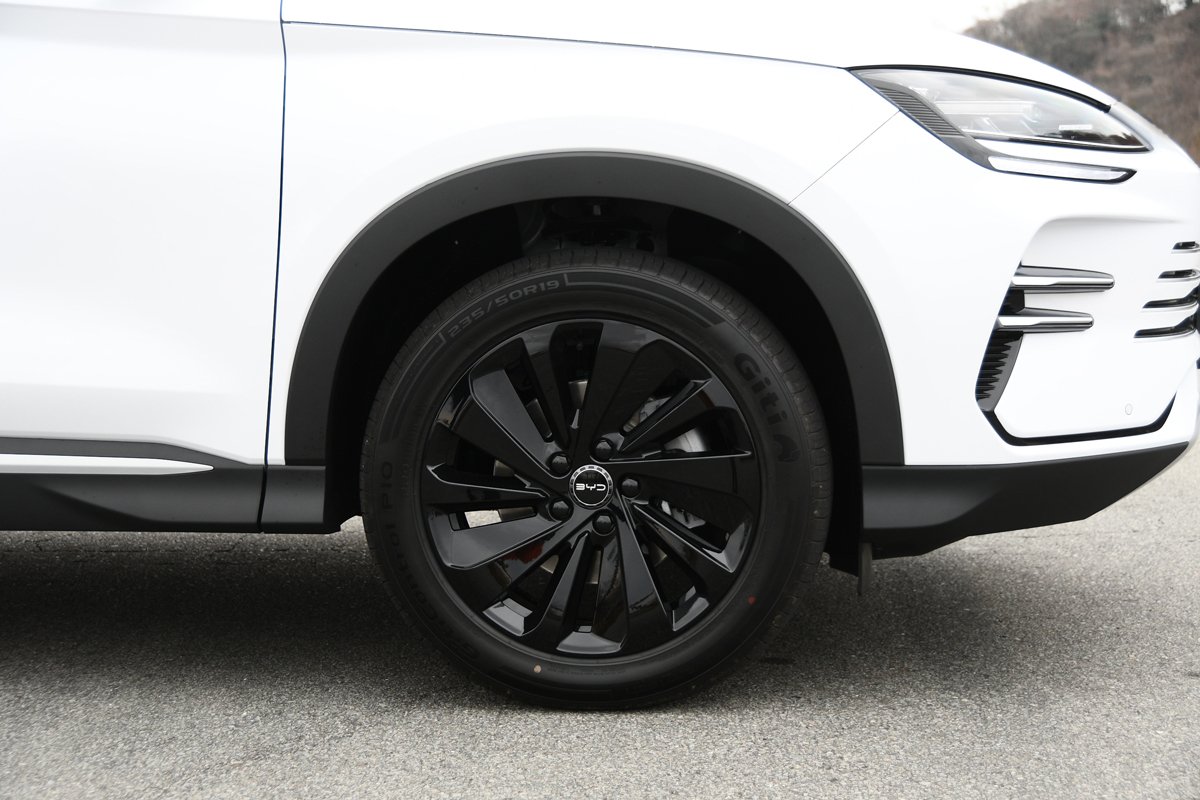 BYDシーライオン6側面