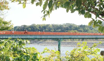 インバウンド大人気で抹茶が入手困難に!新緑の「京都」で宇治の新茶と旬の抹茶スイーツを堪能