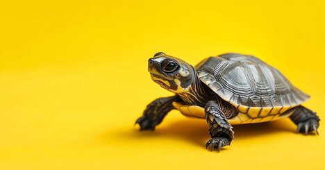 「ゆっくりとやる人」がすべてを手に入れる時代に絶対読んでおくべき一冊とは？