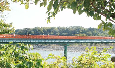 インバウンド大人気で抹茶が入手困難に！新緑の「京都」で宇治の新茶と旬の抹茶スイーツを堪能