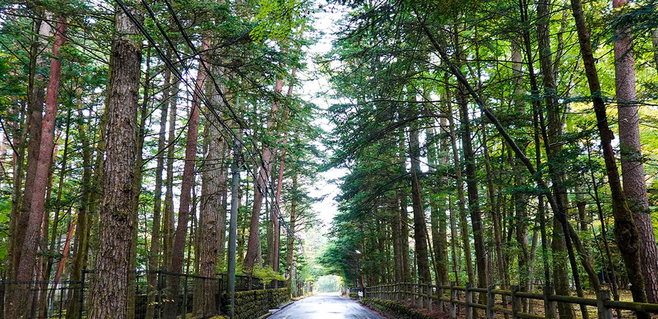 人間関係が複雑に織りなす社会を生きていくうえで重要なこと、「治す場」と「治る場」の大きな違い