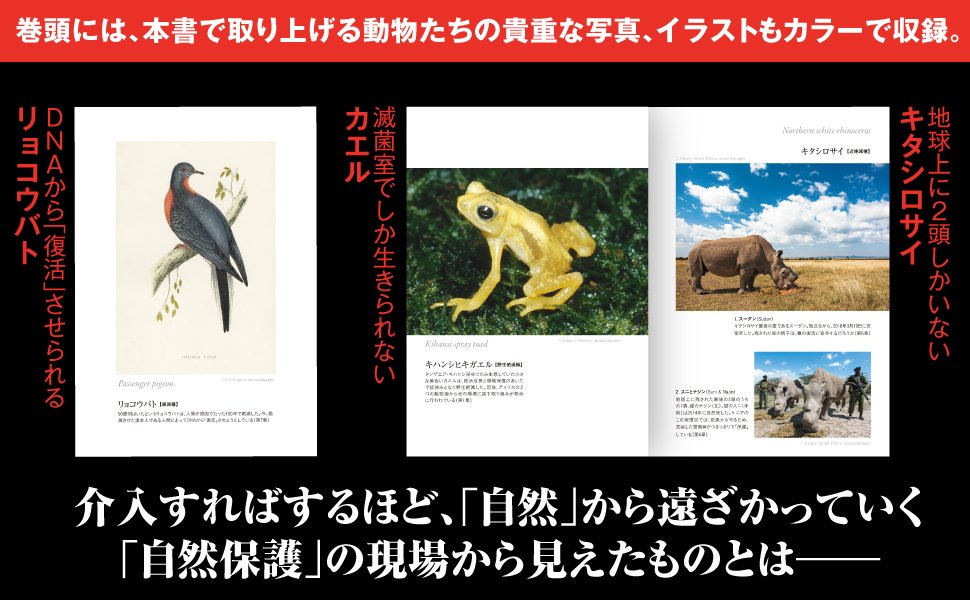 知らなかった では済まされない 動物の絶滅をめぐる 倫理的な大問題 とは 絶滅できない動物たち ダイヤモンド オンライン 知らなかった では済まされない 動物の絶滅をめぐる 倫理的な大問題 とは 絶滅できない動物たち ダイヤモンド オンライン