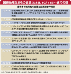 COP10名古屋会議崩壊でも生物多様性の責務を負う企業