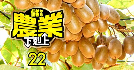 【無料公開】キウイ生産で「時給6000円超」!?ニュージーランドに負けない経営に香川県庁OBが挑む