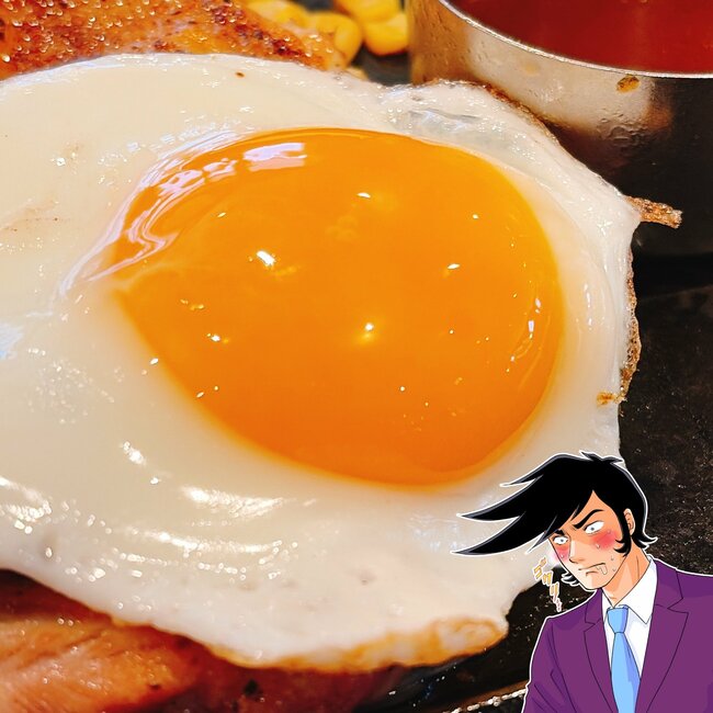 「思ってたサイズの倍」ロイヤルホストの“平日限定ランチ”お肉たっぷりで白米が進む！「文句なしの美味しさ」「ボリューミーでお手頃価格」