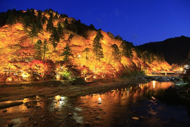 「愛知」絶景の秋！紅葉と四季桜「深紅淡紅」の大供宴！今しか見られない美満載【写真付き】