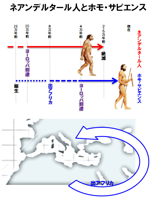 汗 と 女性化 が人類にイノベーションをもたらした 三谷流構造的やわらか発想法 ダイヤモンド オンライン