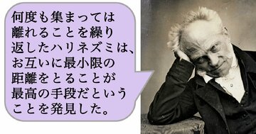何度も集まっては離れることを繰り返したハリネズミは、お互いに最小限の距離をとることが最高の手段だということを発見した。