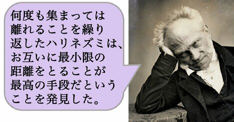 何度も集まっては離れることを繰り返したハリネズミは、お互いに最小限の距離をとることが最高の手段だということを発見した。