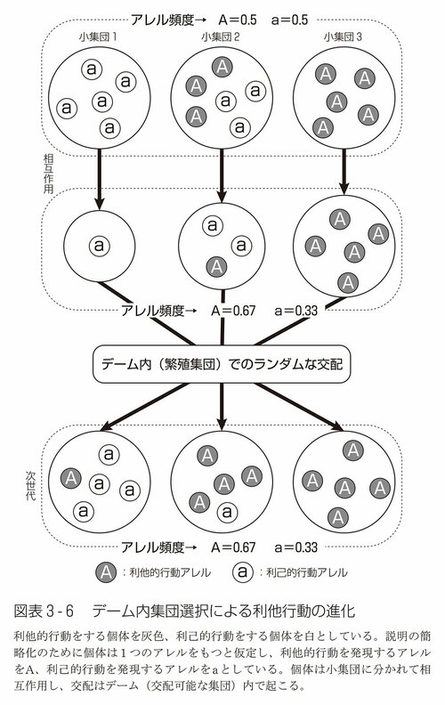 図表3-6：デーム内集団選択による利他行動の進化