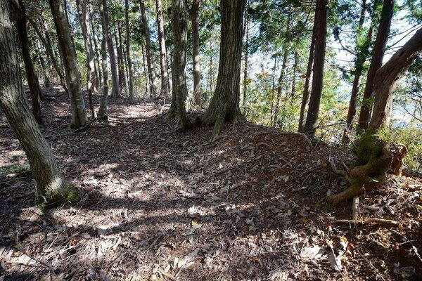 写真：別所山砦の様子