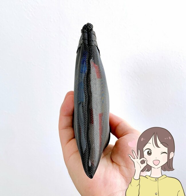 おくすり手帳と診察券がすっぽり！セリアで見つけた“無印みたいなケース”2色買いして正解でした！《購入レビュー》