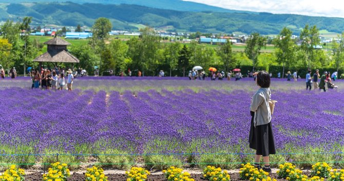 北海道,コロナ後に行きたい都道府県