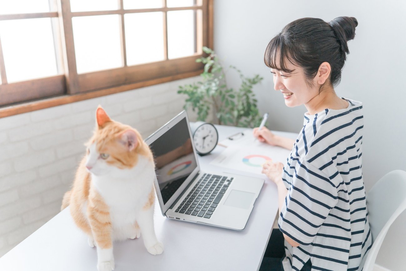 家で猫・ペットと一緒に仕事する女性（在宅勤務・テレワーク・リモートワーク・ネコハラ）