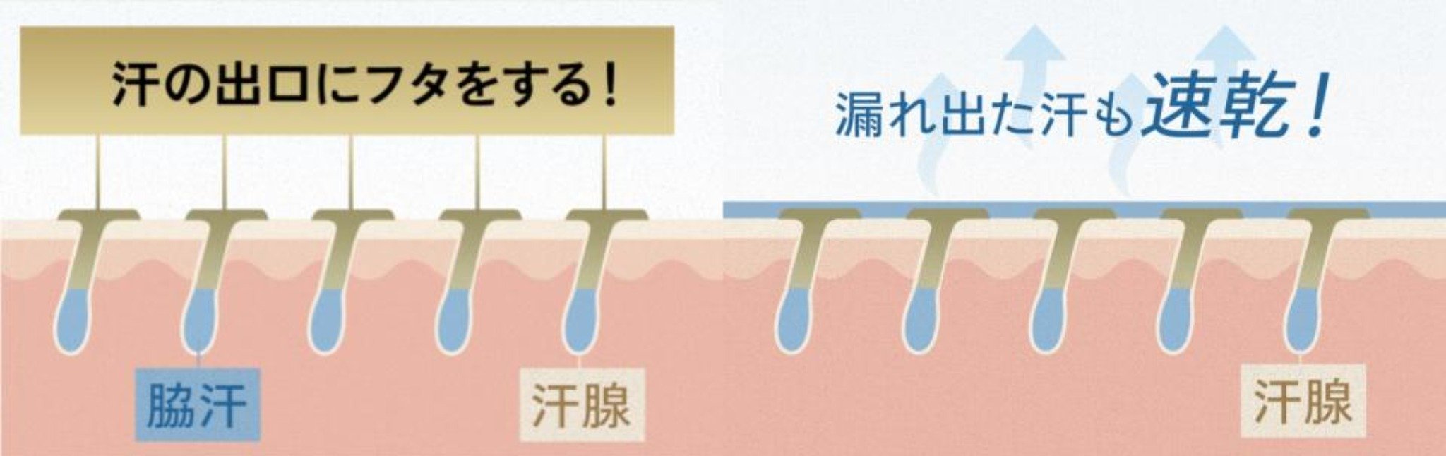 汗を止める「2つのアプローチ」　提供＝マンダム