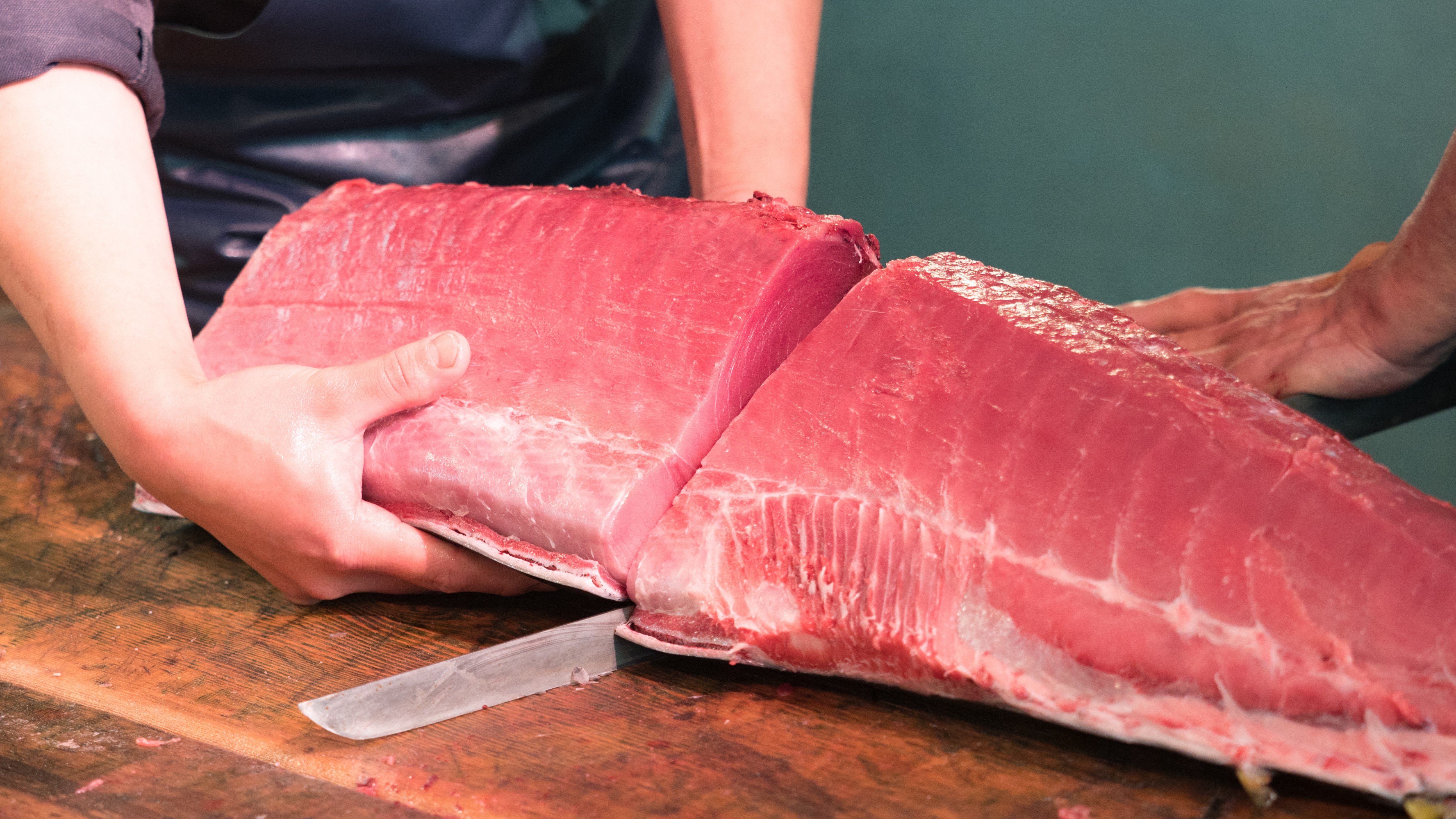 クロマグロの水揚げ量「6年連続1位」はどこ？楽天・球団社長から“寿司店の経営者”に転身した男が語る、意外と知らない「日本一の港町」とは
