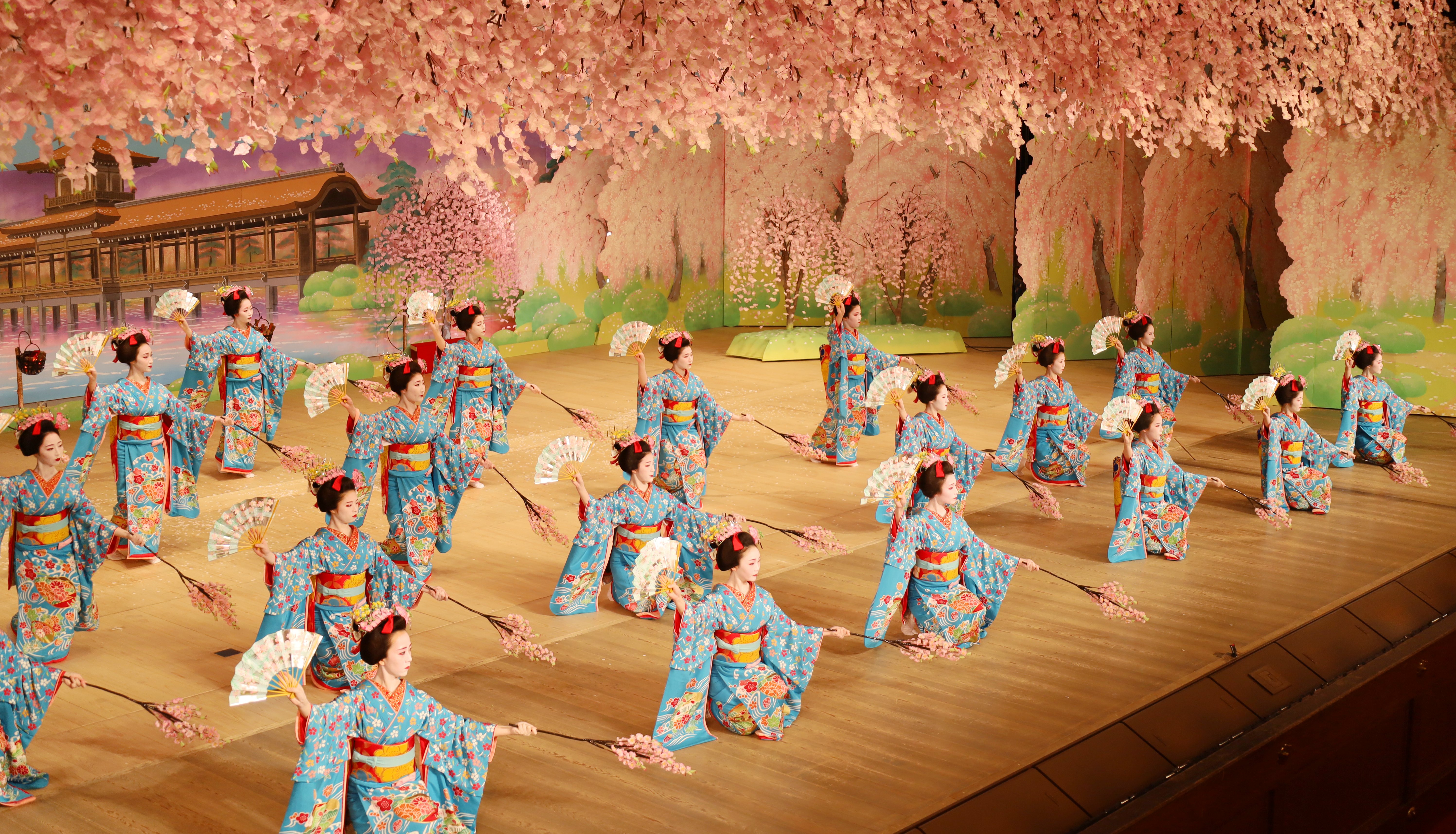 「都をどり」のフィナーレとなる総をどり。今年は桜咲き誇る平安神宮が舞台に