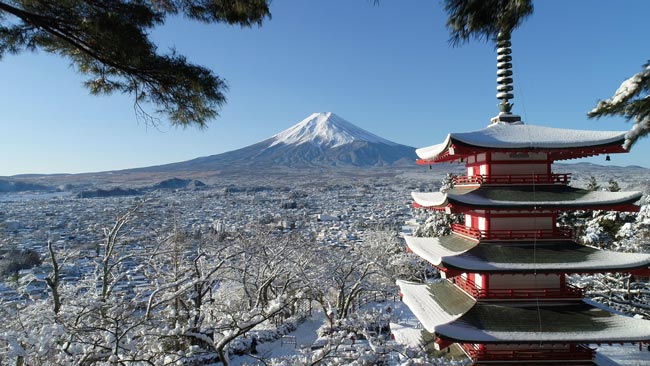 雪化粧の五重塔と富士山
