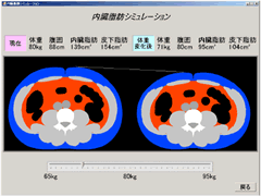 日立がメタボビジネス参入!脂肪蓄積度を可視化するシミュレーションを開発