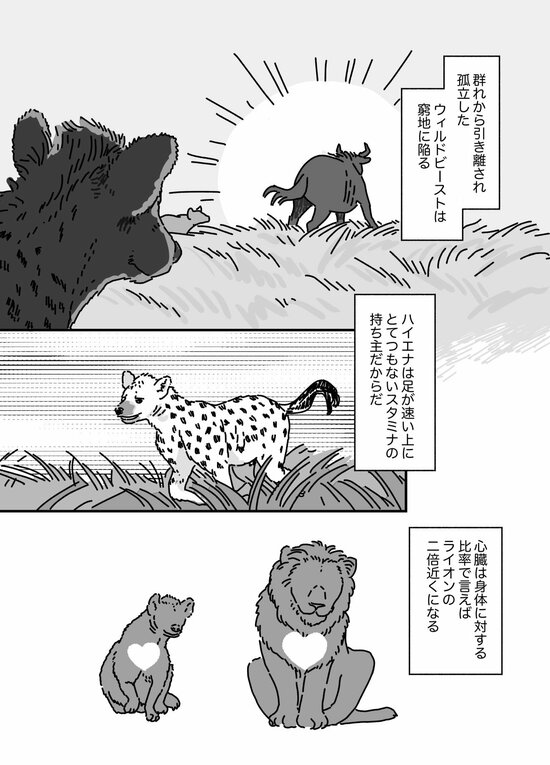 【マンガ】硬い甲羅のカメを噛み砕き、シマウマを30分で食べ尽くす…“ボーン・クラッシャー”「ハイエナ」に襲われた動物の悲劇的な最期とは