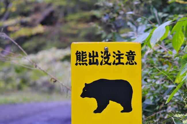 そりゃキレるわ…北海道猟友会が異例の「ヒグマ駆除要請拒否」検討、行政の迷走するクマ対策に喝！