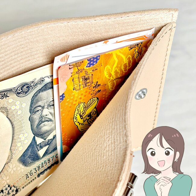ミニ財布にちょうどいい…！ダイソーの「お札が入るキーケース」カードが10枚も収納できて天才すぎる！《購入レビュー》