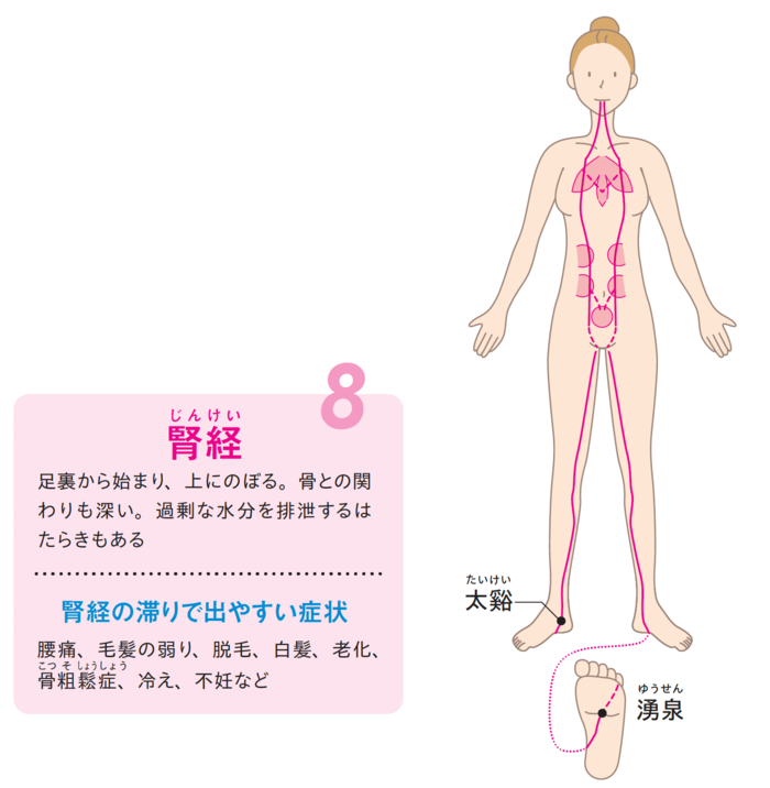 【整体プロが指南】老け込みやすい人の特徴とは？「たった1つの習慣」で若返る