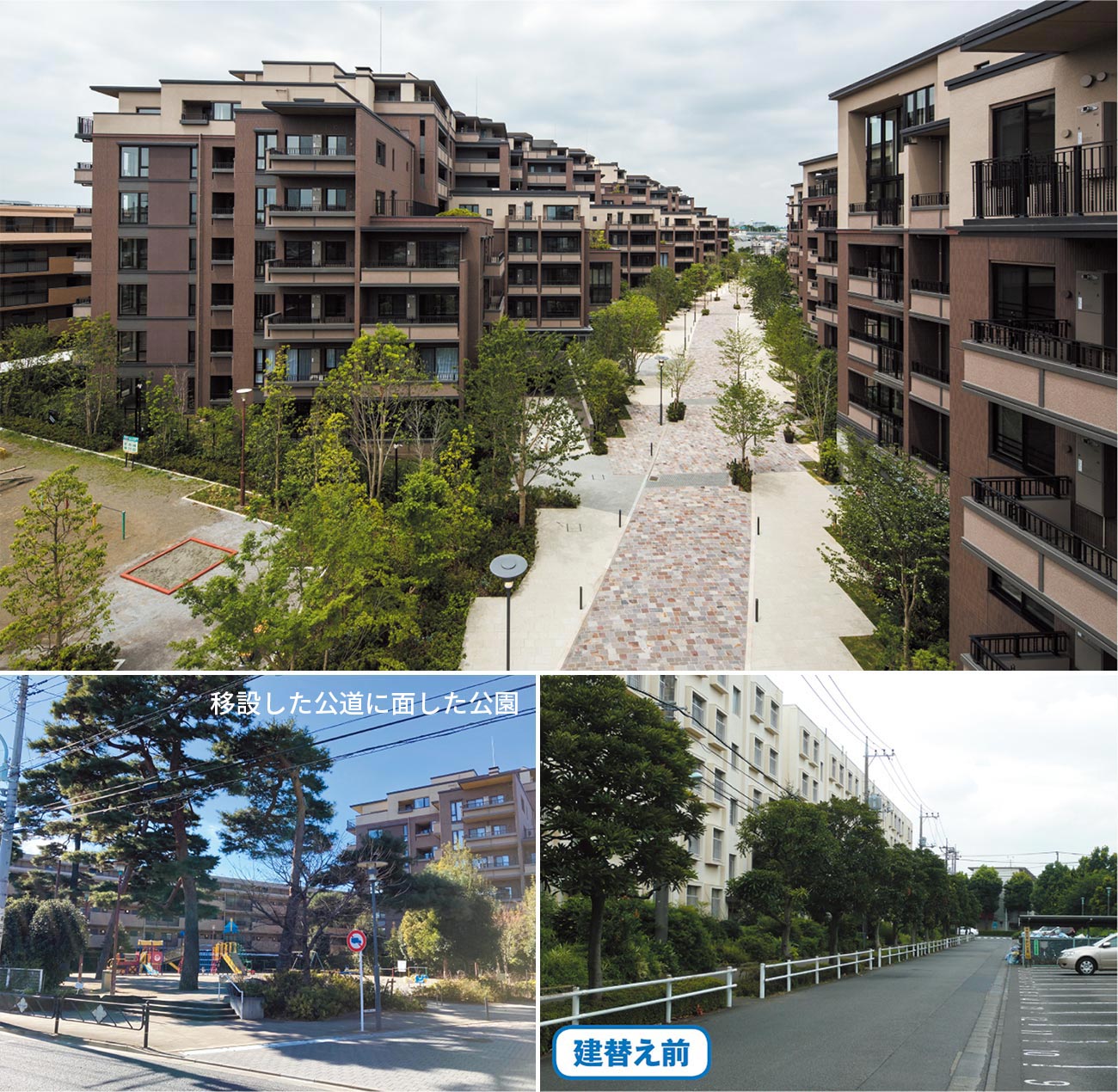 ｢建替え｣で豊かな暮らしと資産価値の向上を目指す