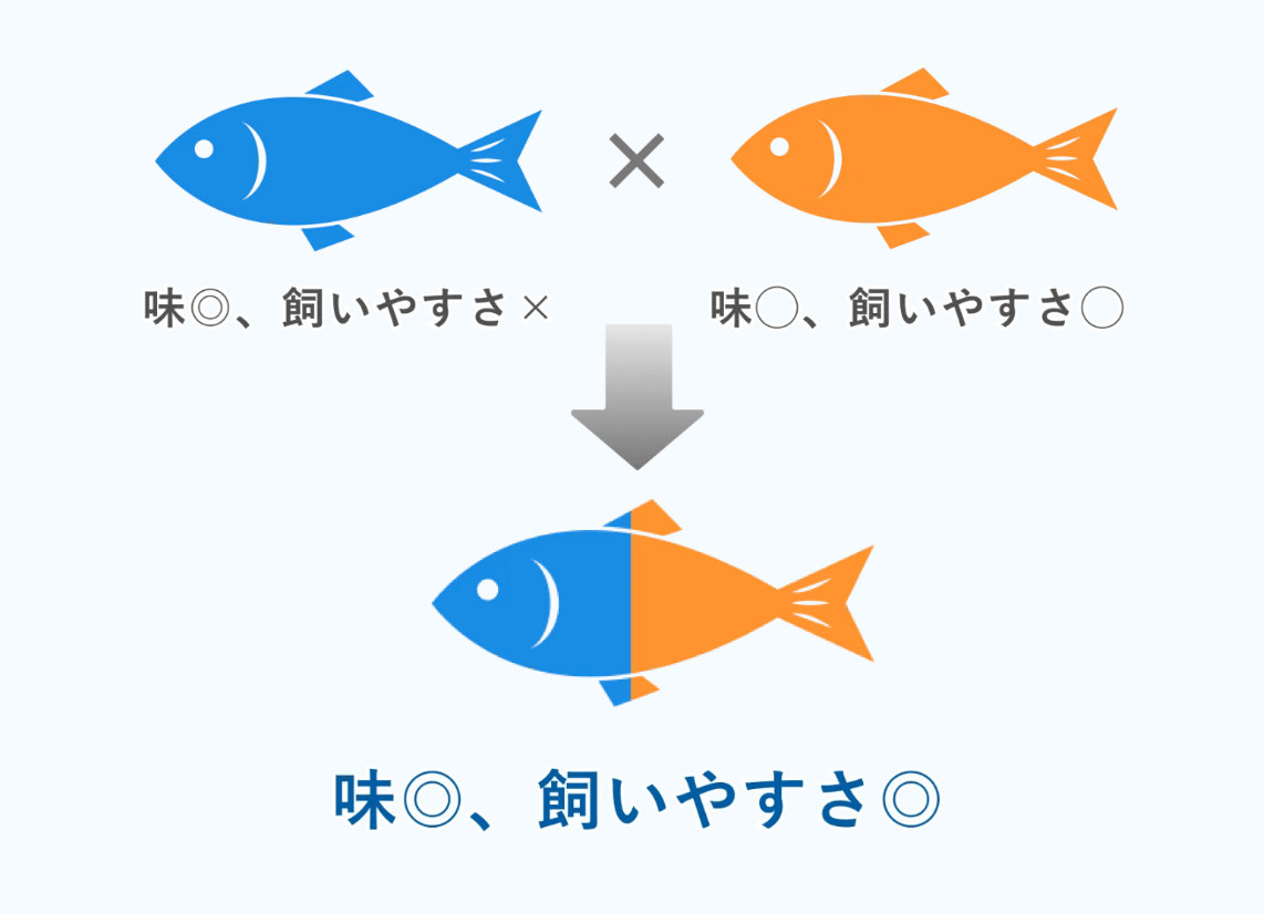 ハイブリッド魚のイメージ