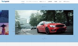 テックポイント・インクは、HD監視カメラシステムと自動車用インフォテイメントシステムを対象とした独自のHDビデオ接続技術を開発しているファブレス半導体メーカー。
