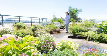 「え、こんな制度あるの？」老後の家賃をグッと抑える“知られざる助成”