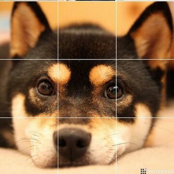 Instagramで複数のアカウントを切り替えて活用する