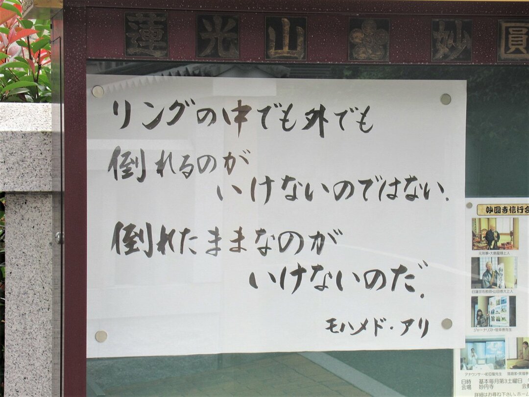 お寺の掲示板97 倒れたままがいけないのだ お寺の掲示板 の深 いお言葉 ダイヤモンド オンライン