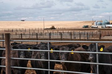米農家の土地争奪戦、穀物急騰で高まる購買熱