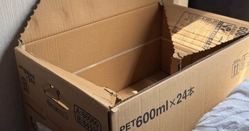 【辺野古ボート転覆】「誰かが破れた段ボールに詰めた」無造作に放り込まれた知華さんの遺品