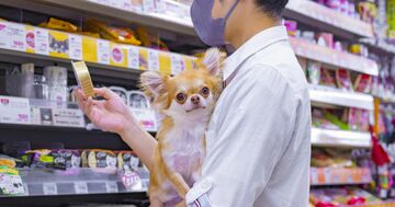 「ちゅ~る不買運動は起きない」は甘い!いなば食品が一刻も早く始めるべき危機管理対策のポイント
