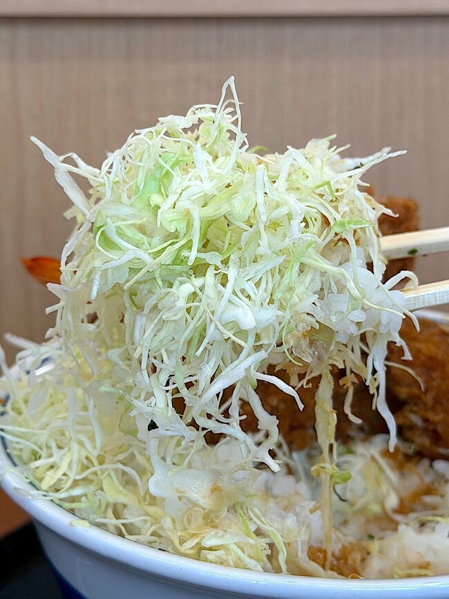 「お腹パンパンで大満足」かつやの“鬼盛りどんぶり”あまりのボリュームに驚きました!「満腹で動けない」「めっちゃご飯が進みます」