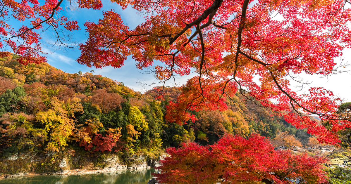 なぜ埼玉県はディスられるのが伝統芸になってしまったのか