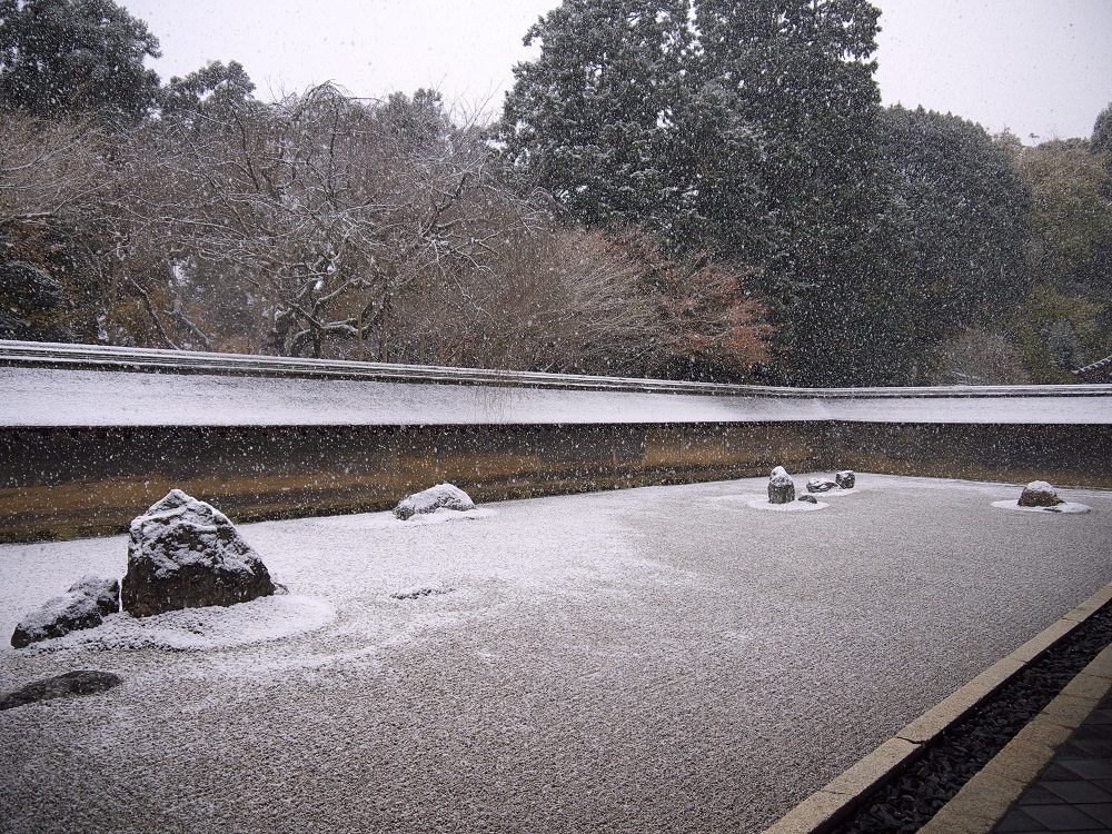 【冬の日本庭園】訪日外国人ガイドの目線から再発見する名庭園風景の眺め方と感じ方