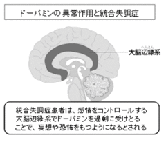 「心の病」は「脳の故障」が原因？