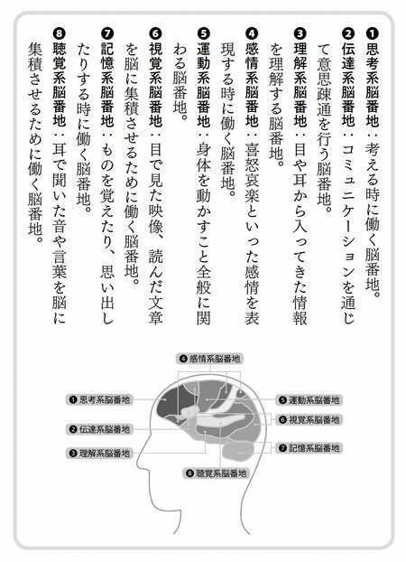 8つの脳番地