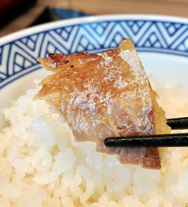 「ガチでうまい」「白米が足りなくなる」吉野家の“よくばり定食メニュー”ご飯おかわり無料が嬉しい！「ファーストフードのメニューとは思えない」《実食レビュー》