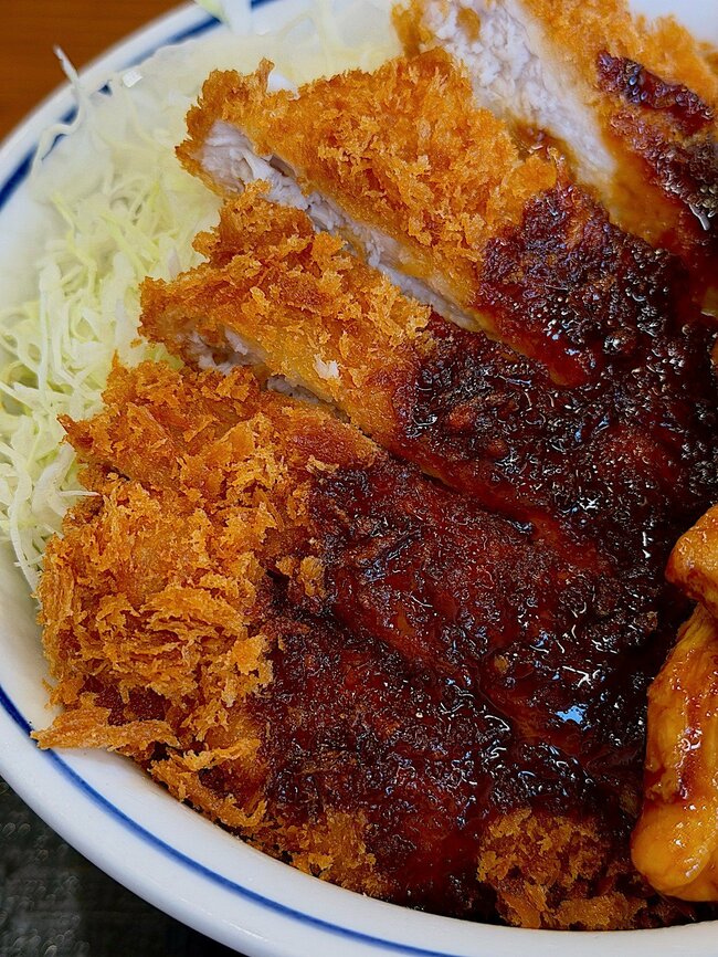 こりゃ通いつめたくなるわ!かつやの“豪快どんぶり”お肉2種盛で白米が止まらない!「ヘビーだった」「ウマすぎんだろ!」《実食レビュー》