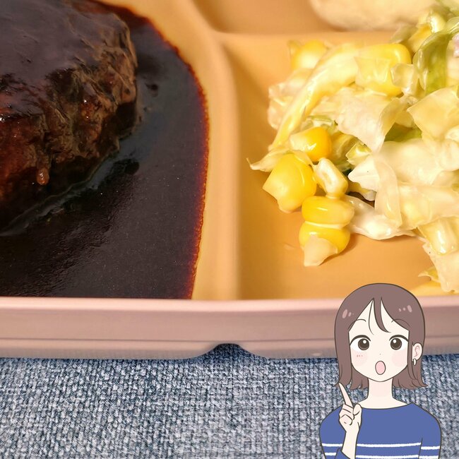 思わず家族の分も買い足した！ダイソー姉妹店の「550円プレート」オシャレなのに、洗い物も減らせちゃうんです！