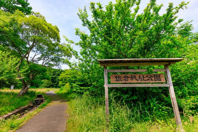 【戦後79年】千葉県の公園に残る「奇妙な階段」、その悲しすぎる目的とは〈写真付き〉