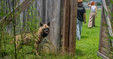 脱走・病死・対人事故、「ずさん運営」動物園の末路