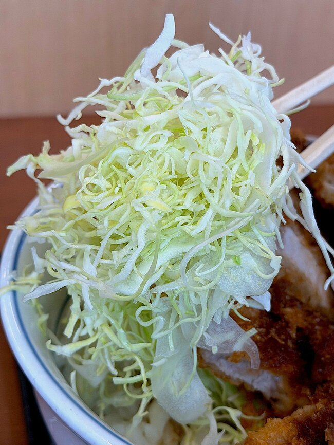 「安定の美味しさ」「マジで幸せの一杯」かつやの“ボリューム満点どんぶり”お肉たっぷりで食べ応えがすごい！「舐めてた、腹パンパン」